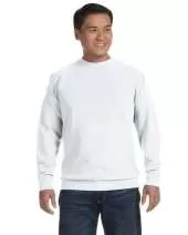 1566_00_p.webp