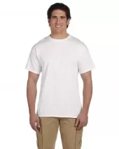 3931_00_z.webp