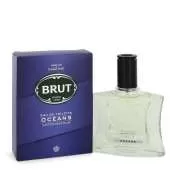 BruF79.webp