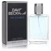 DavDMQ.webp