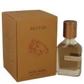 brutop17w.webp