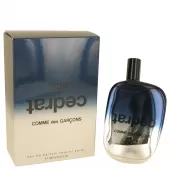 cdgbce34.webp