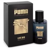 pumlivb17.webp