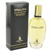 stal17m.webp