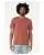 CLAY 100015.webp