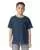 BLUE DUSK 100636.webp