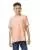 DUSTY ROSE 100676.webp