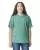 AQUATIC 100681.webp