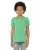 Green Triblend 100853.webp