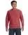 CRIMSON 1566_10_p.webp