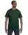 Forest Green 29M_42_z.webp