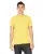 Maize Yellow 3001C_22_z.webp