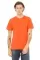 Orange 3001C_49_z.webp