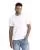 3600sw_dl_p.webp