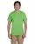 Kiwi 3931_41_z.webp
