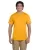 Gold 3931_56_z.webp