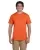 Burnt Orange 3931_AB_z.webp