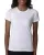 6610_00_z.webp