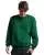 DARK GREEN 698hbm_42_p.webp