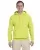 996_38_z.webp