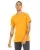 Gold B002CNAQ2.webp