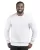 B036TH002.webp