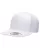 White B09680000.webp
