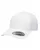 White B12385000.webp
