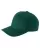 Spruce B70985440.webp
