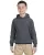G185B_76_z.webp