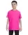 Azalea G500B_01_z.webp