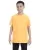 Yellow Haze G500B_05_z.webp