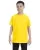 Daisy G500B_21_z.webp