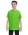 Lime G500B_41_z.webp