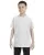 Ash Grey G500B_50_z.webp