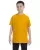 Gold G500B_56_z.webp