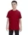 Cardinal Red G500B_67_z.webp