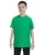 Irish Green G500B_83_z.webp