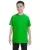 Electric Green G500B_BF_z.webp