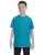 Tropical Blue G500B_BJ_z.webp