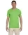 Lime G640_41_z.webp