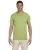 Kiwi G640_73_z.webp