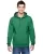 Clover SF76R_BC_z.webp