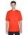 TT11_29_z.webp
