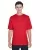TT11_30_z.webp