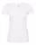 White alstyle-2562-white.webp