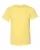 Heather Yellow bella-+-canvas-3001cvc-heather-yellow.webp