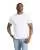 WHITE c1717_00_p.webp