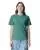 SEAFOAM c1717_16_p.webp