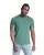 LIGHT GREEN c1717_44_p.webp